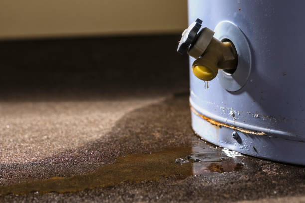 Best 24-hour water damage restoration  in Remsen, IA