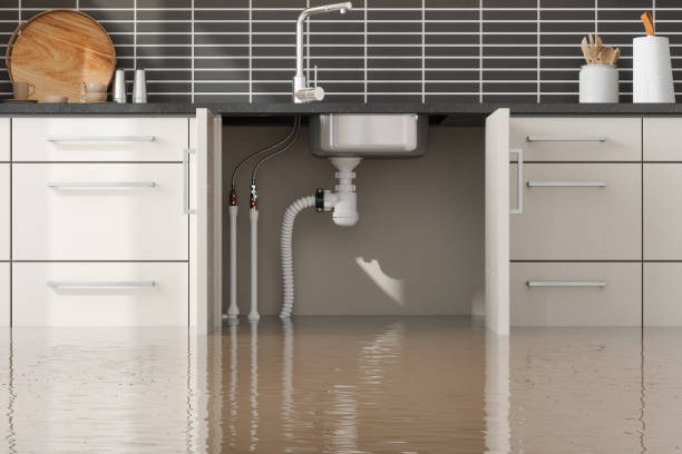 Best Water damage restoration near me  in Remsen, IA