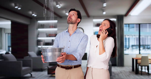 Best Water damage restoration near me  in Remsen, IA
